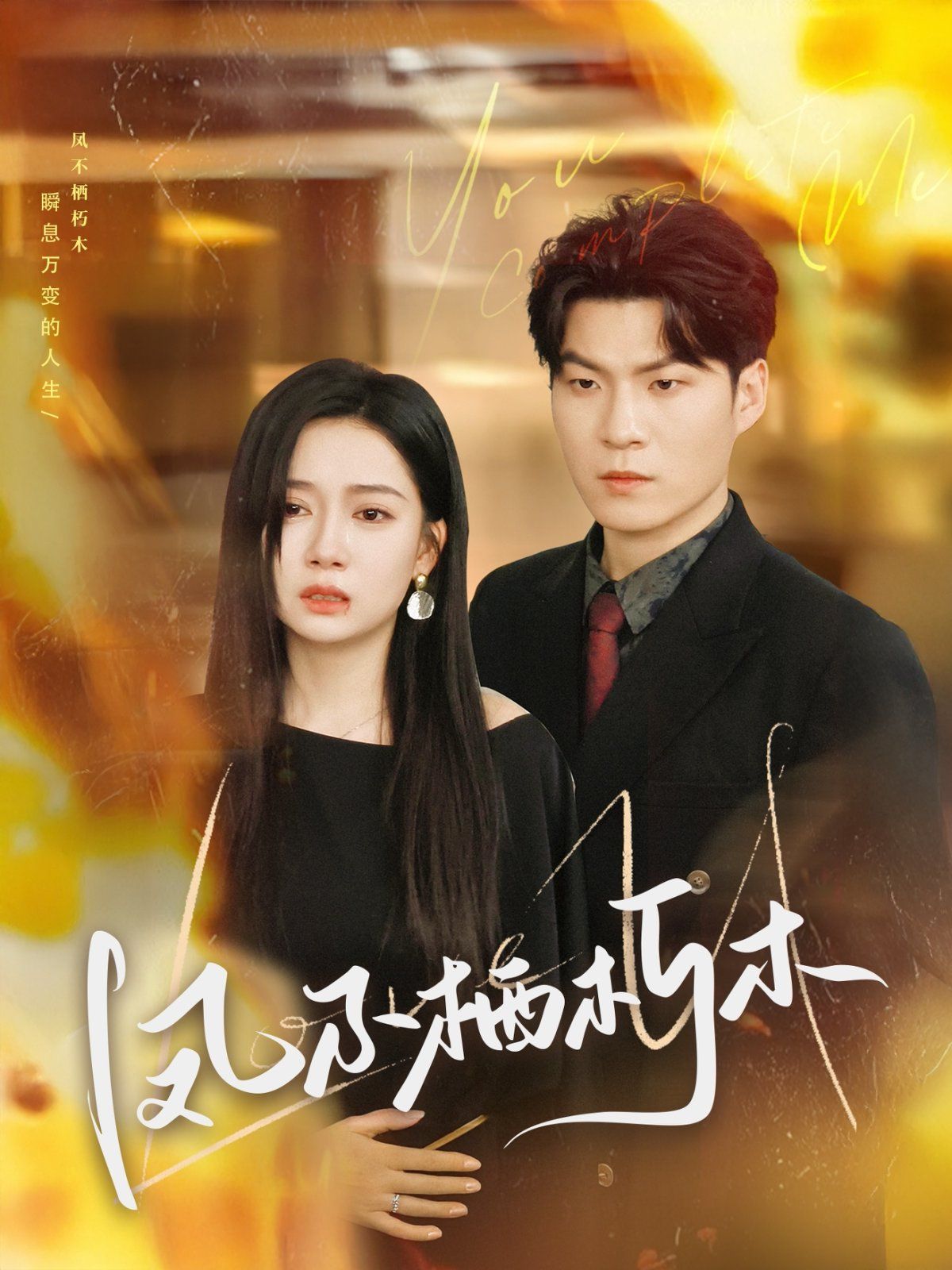 凤不栖朽木第1-20集