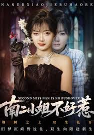 南二小姐不好惹(全集)