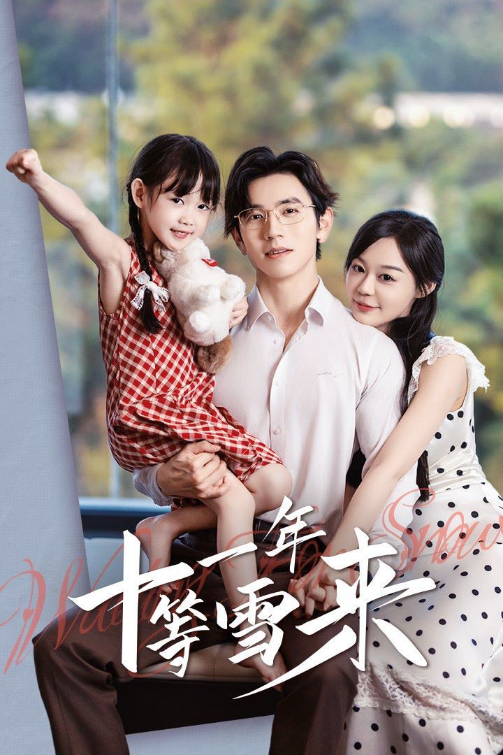 十一年等雪第1-20集