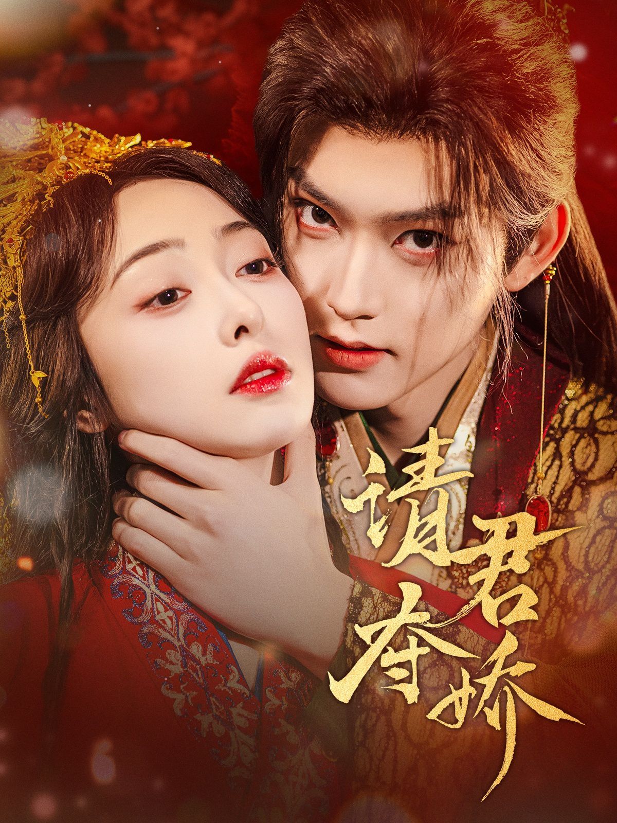 请君夺娇第1-20集